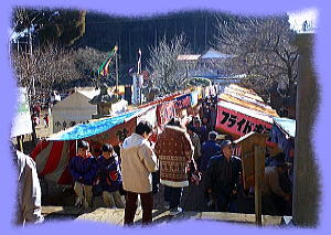 初詣 鹿野山神野寺