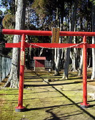 九頭竜権現堂 鹿野山神野寺