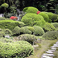 庭園 鹿野山神野寺