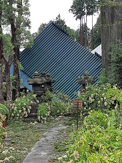 ボランティア 鹿野山神野寺