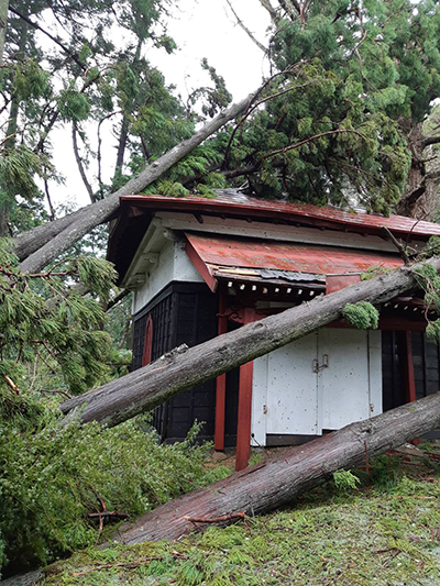 ボランティア 鹿野山神野寺