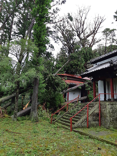 ボランティア 鹿野山神野寺